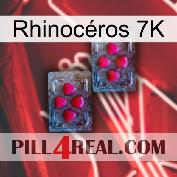 Rhinocéros 7K 14